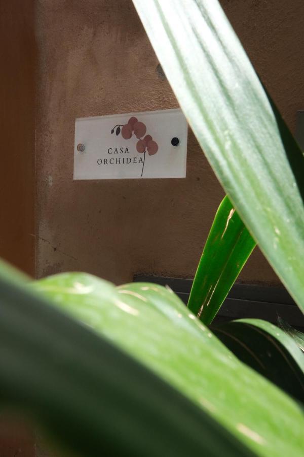 Casa Orchidea Apartment Rome Exterior photo